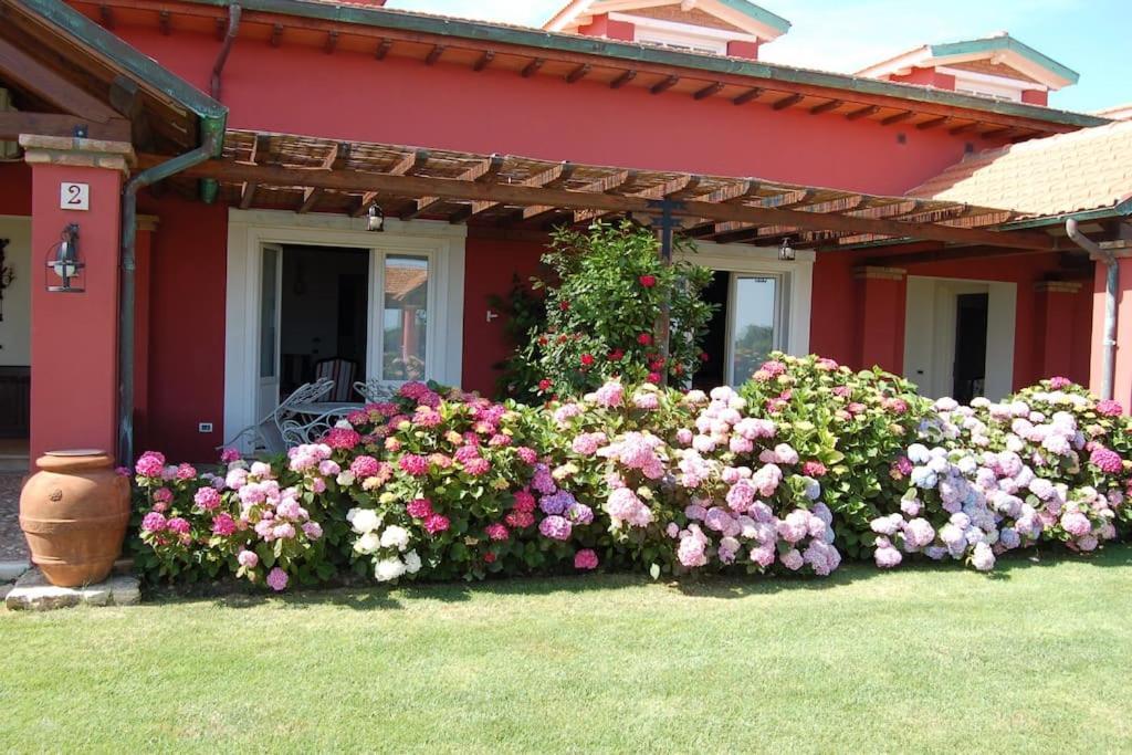 La Pecora Ladra Appartamenti مونتالتو دي كاسترو المظهر الخارجي الصورة