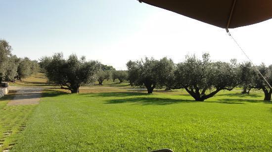 La Pecora Ladra Appartamenti مونتالتو دي كاسترو المظهر الخارجي الصورة