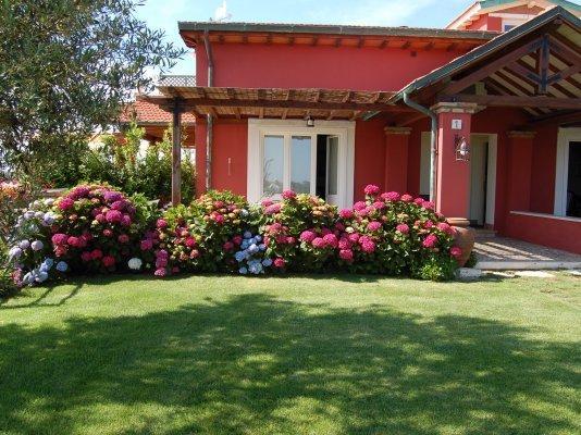 La Pecora Ladra Appartamenti مونتالتو دي كاسترو المظهر الخارجي الصورة